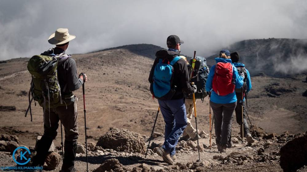 Randonnée d'une journée au mont Kilimandjaro via la route de Marangu