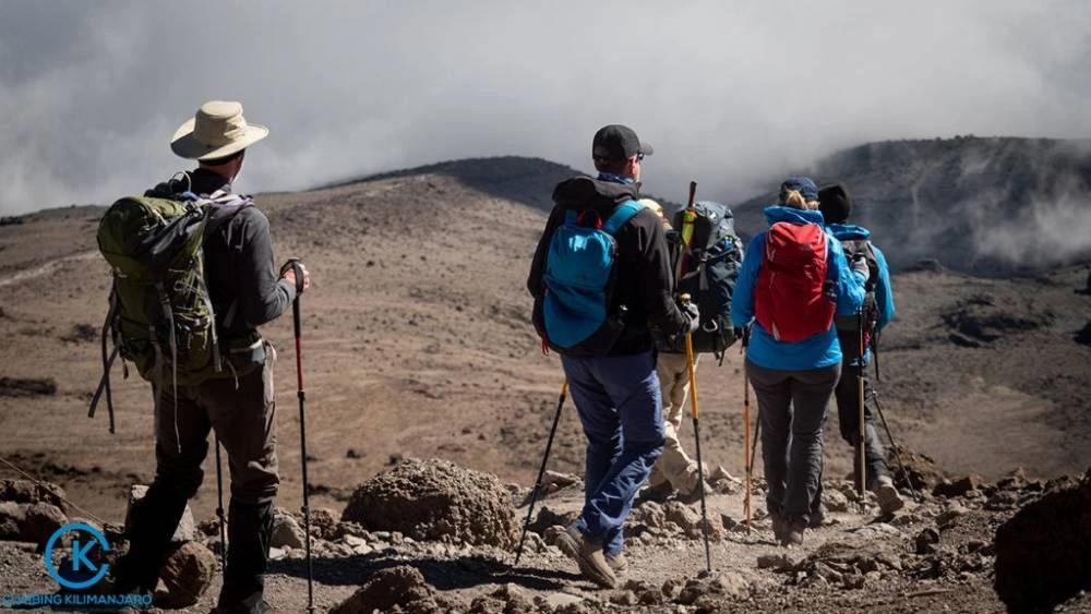 Randonnée d'une journée au mont Kilimandjaro via la route de Marangu
