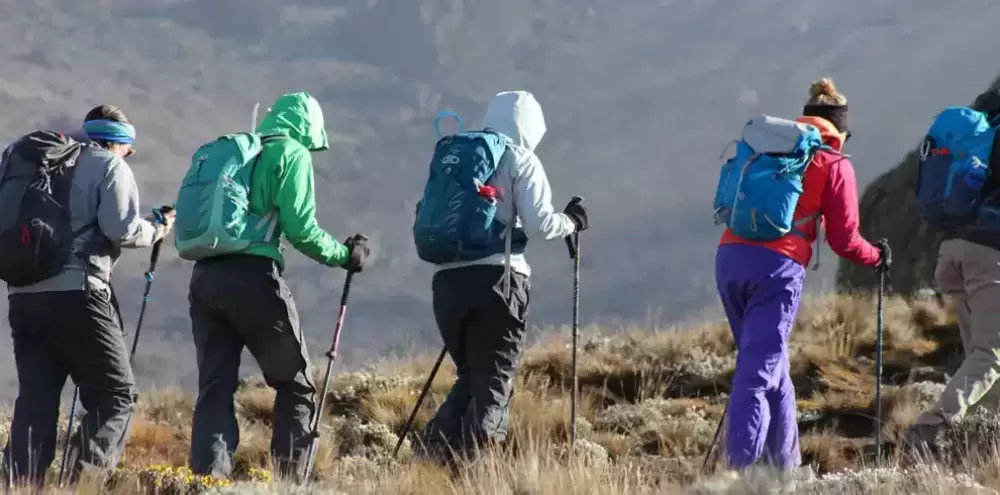 8 jours du Kilimandjaro "Route du whisky" Route Machame