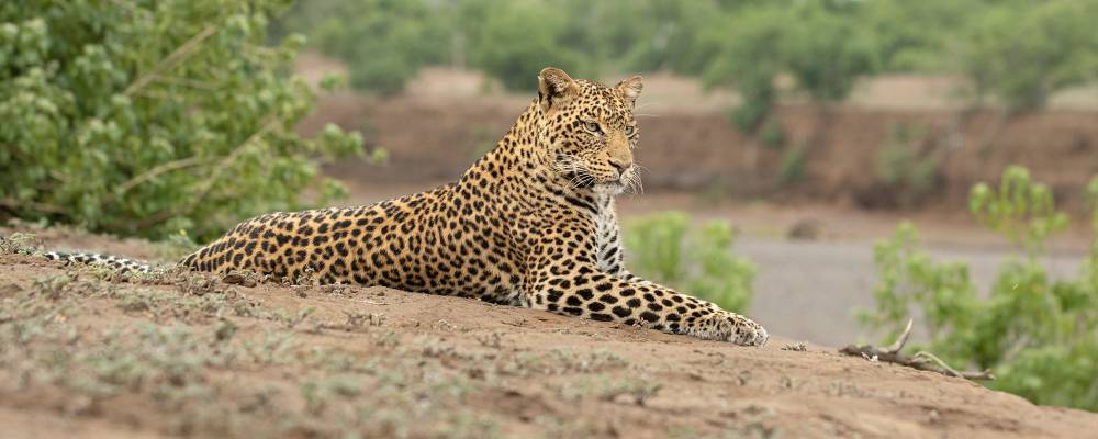 Parc national du lac Manyara, 1 journée