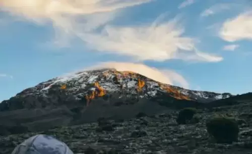 Kilimandjaro et treks