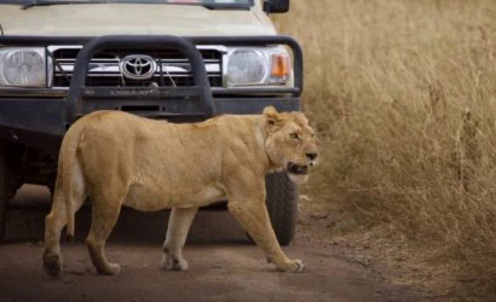 Ruaha, 3 jours et 2 nuits, au départ de Dar Es Salaam